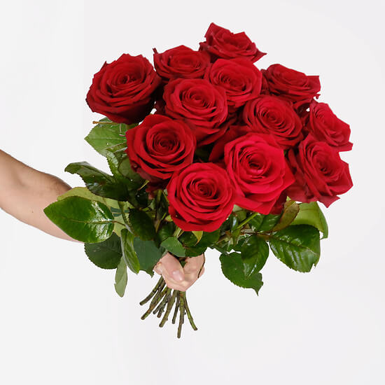 12 Große Rote Rosen