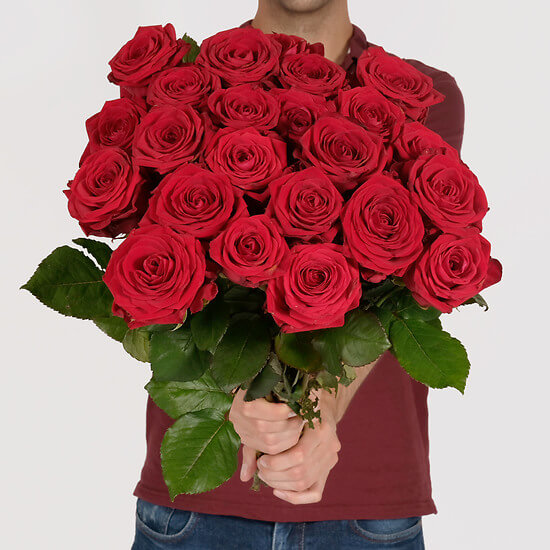24 rote Rosen