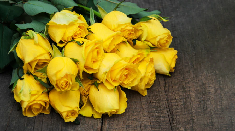 Weiße Rosen als Dankeschön