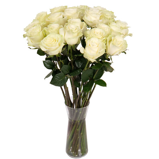 Weiße Rosen vom Floristen